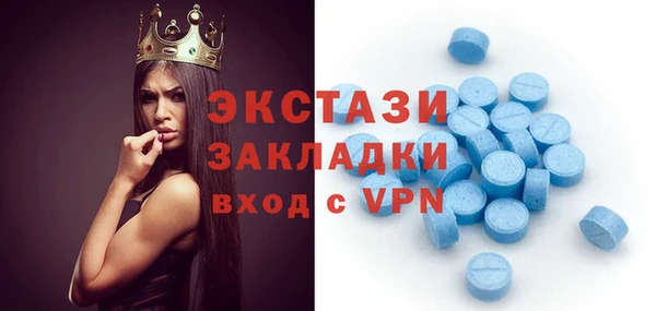 индика Аркадак