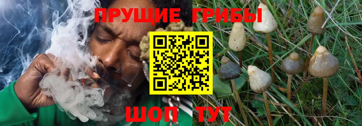 Галлюциногенные грибы ЛСД Краснотурьинск